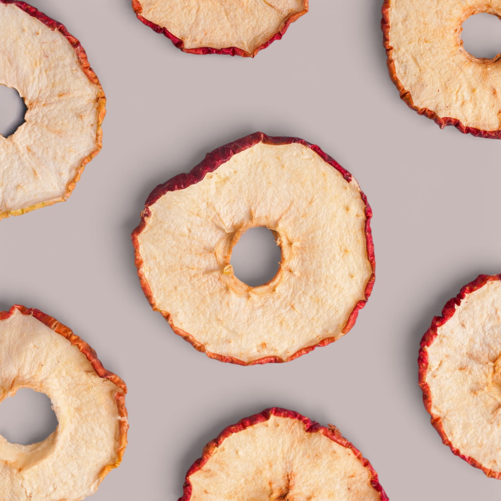 WhatsApp Image 2026-02-09 at 2.30.54 PM